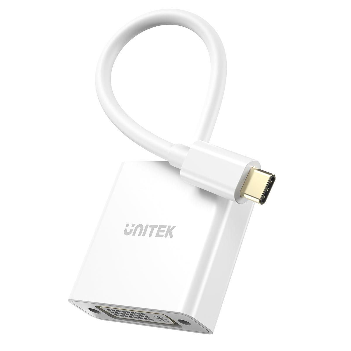 USB-C to DVI Adapter